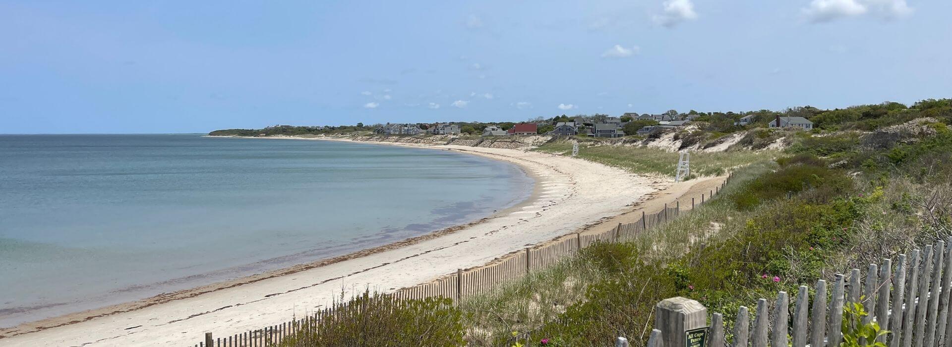 Calm shoreline along Cape Cod Bay with gentle waves, sandy beach, grassy dunes, and coastal homes in the distance under a clear blue sky.