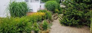 A path weaving through the lush gardens at Pleasant Bay Village Resort.