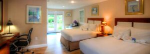 Two full size beds near a desk with a glass door leading out to the gardens.