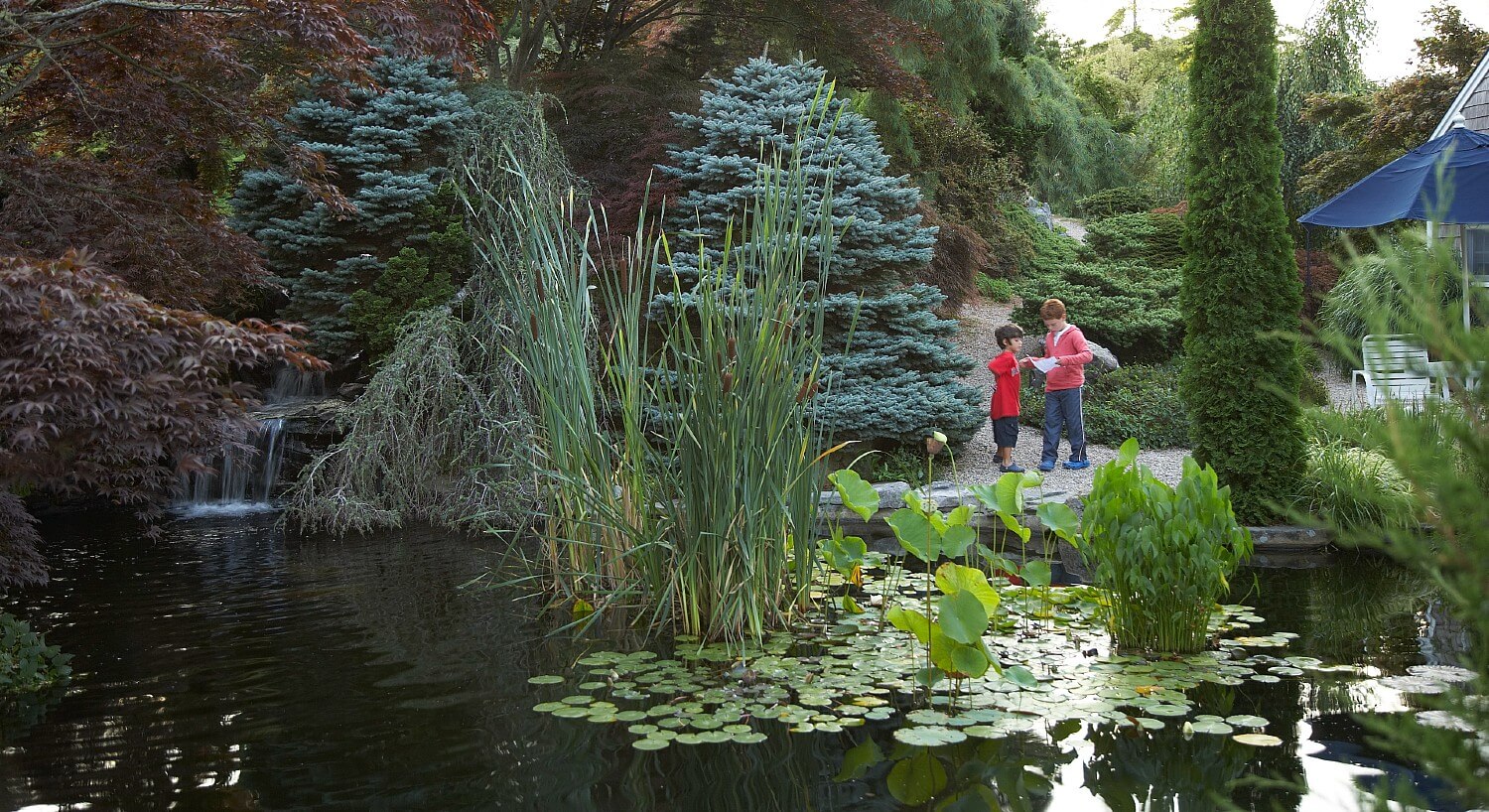 Small pond with water lilies surrounded by tall trees, next to an outdoor patio with two small children