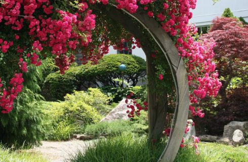 Large circular wooden gate covered with beautiful pink flowers and lush trees and plants in the background