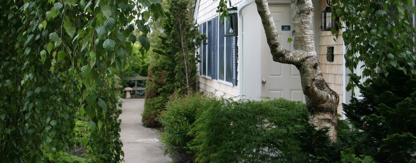 Front door of a studio apartment surrounded by lush green trees and bushes with a cement sidewalk