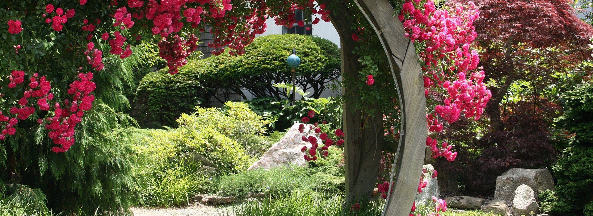 Wooden circular arch covered with gorgeous pink flowers surrounded by lush green landscaping