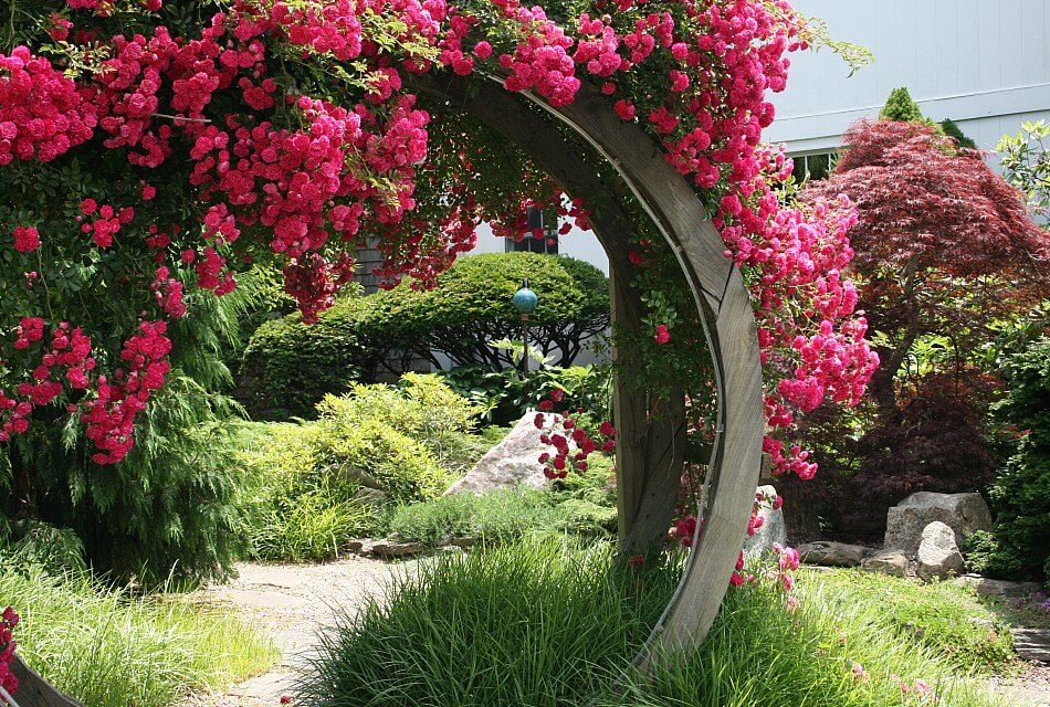 Large circular wooden arch covered with bright pink flowers over a stone path near an abundance of green plants and shrubs