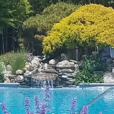 Small waterfall into a crystal clear pol surrounded by gardens